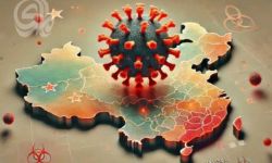 الصحة النيابية تطمئن: لا علاقة لفيروس الميتانيمو الجديد بكورونا ولا خطر لجائحة